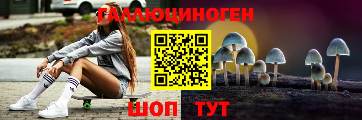 Псилоцибиновые грибы Psilocybine cubensis Асбест
